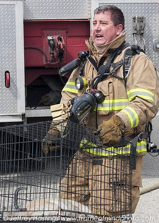 MFD FIre Hall St-12981111