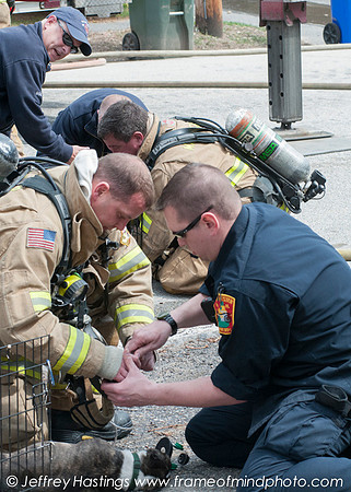 MFD FIre Hall St-50301121