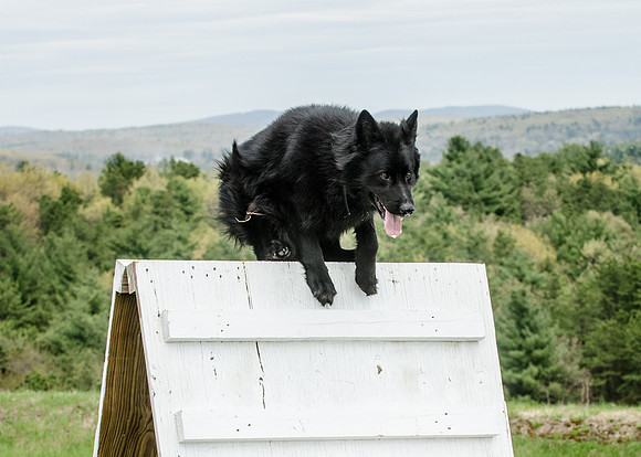 Sm web MPD K9-5504_