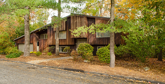 RE Shady Lane-3665