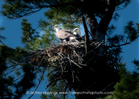 Eagle 2-8999153