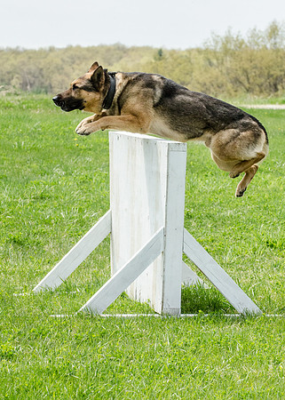 Sm web MPD K9-5631_