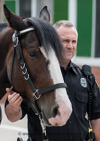 MPD Mounted Patrol-3754_