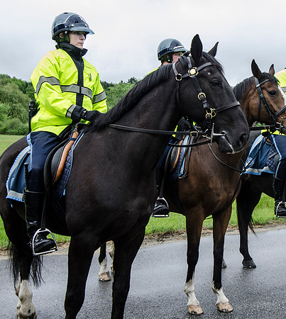 MPD Mounted Training-1421_