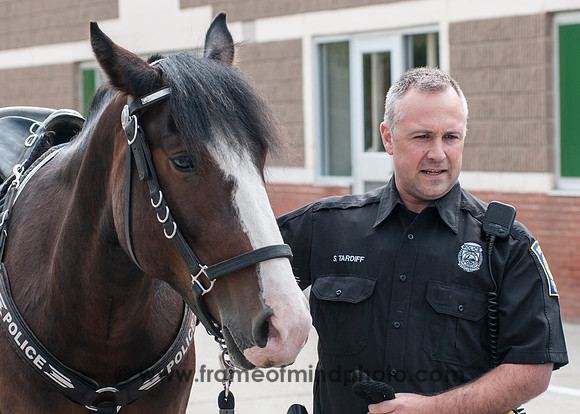 MPD Mounted Patrol-3778_
