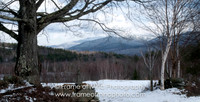 NH Images-2-5