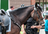MPD "General" Naming