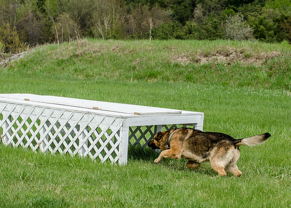 Sm web MPD K9-5646_