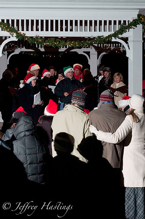 FSP Carol 2011-14