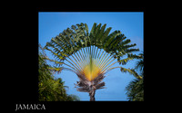 Jamaica Slide Show 2-03