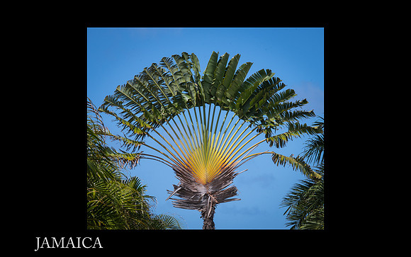 Jamaica Slide Show 2-03