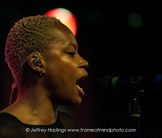 Fitz & The Tantrums