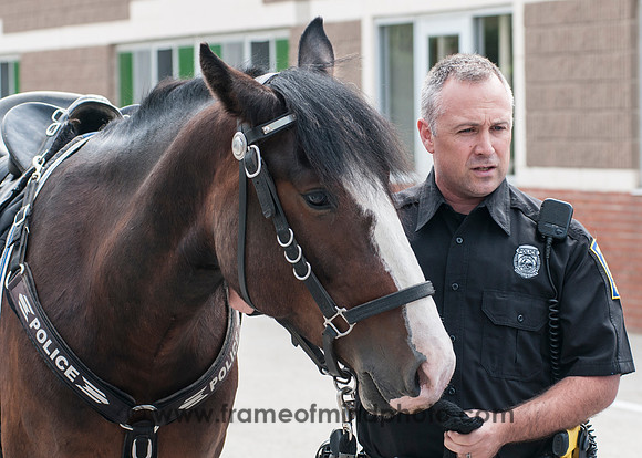 MPD Mounted Patrol-3779_