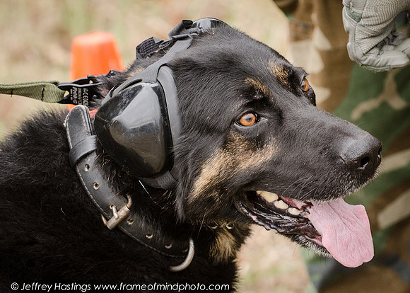 MPD Training-7685_