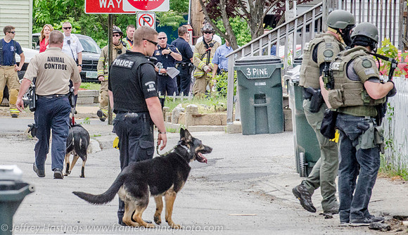 MPD SWAT Krakow Ave-6828