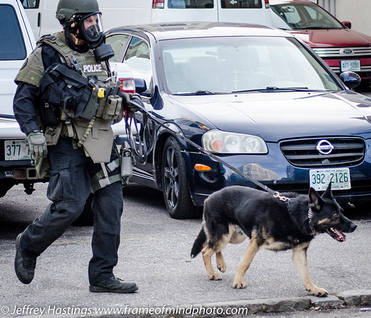 MPD SWAT Orange St K9-9771