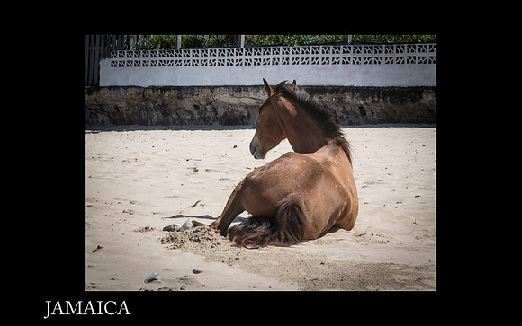 Jamaica Slide Show 2-28
