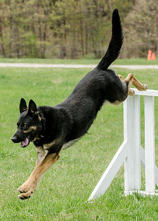 Sm web MPD K9-5539_