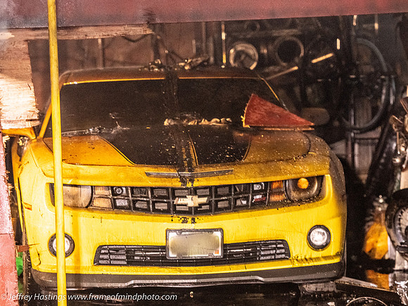 FOM 2024-8736