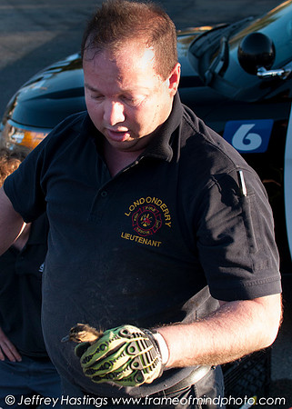 LFD DUCK RESCUE-7883140