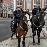 MPD Misc Photos 2016-2017
