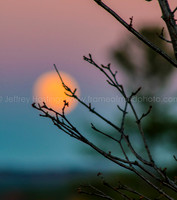 Super Moon-4008