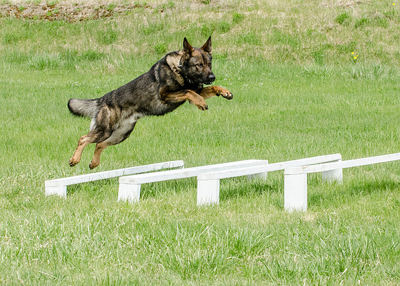Sm web MPD K9-5608_