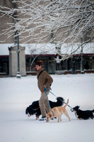 Boston Common-8008