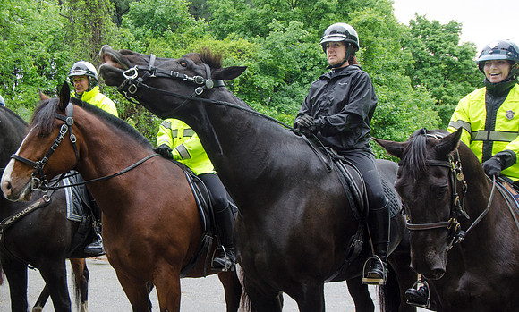 MPD Mounted Training-1365_