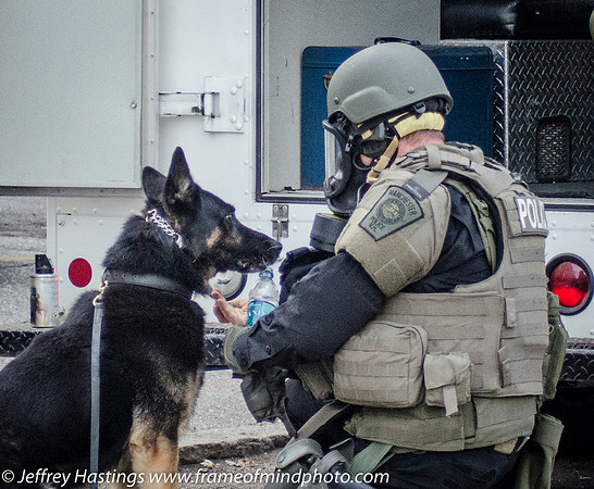 MPD SWAT Orange St K9-9781