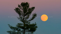 Super Moon 2016-4034