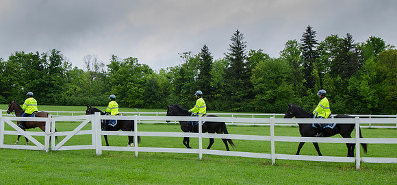 MPD Mounted Training-1296_