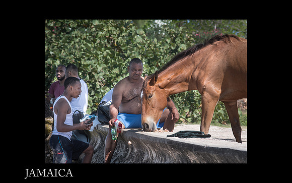 Jamaica Slide Show 2-36