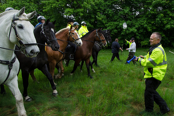 MPD Mounted Training-1343_