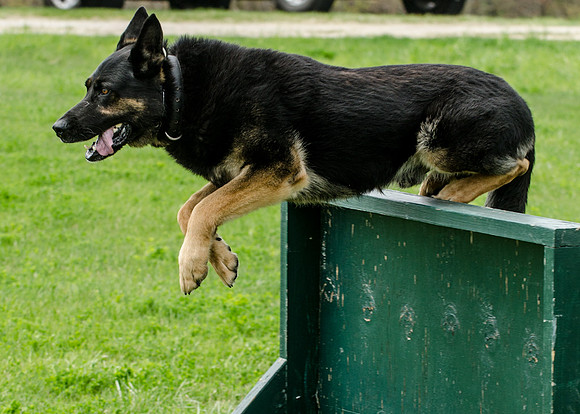 Sm web MPD K9-5541_