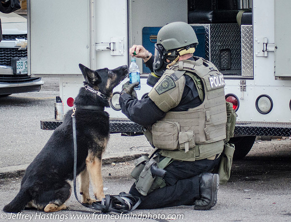 MPD SWAT Orange St K9-9780