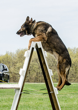 Sm web MPD K9-5485_