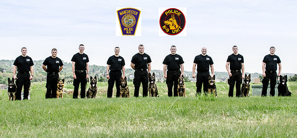 Sm web MPD K9-5396_- LOGO 2