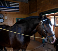 2018 MPD Mounted MIsc
