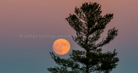 Super Moon 2016-3991