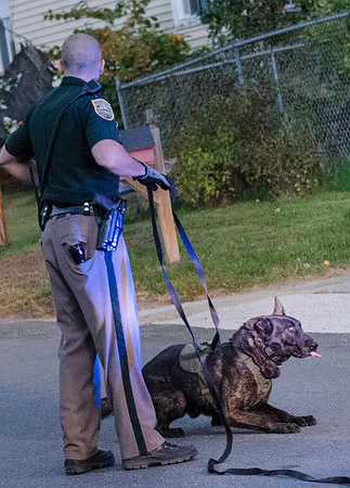 NHSP Pursuit - 101 West Exeter to Auburn-8069