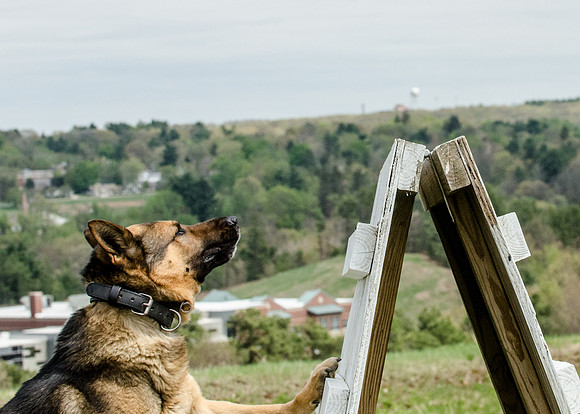 Sm web MPD K9-5634_