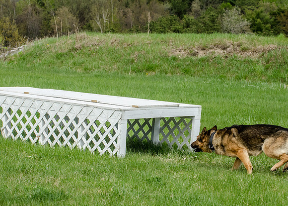 Sm web MPD K9-5645_