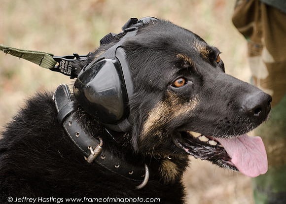 MPD Training-7683_