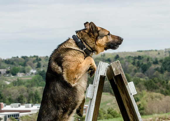 Sm web MPD K9-5635_