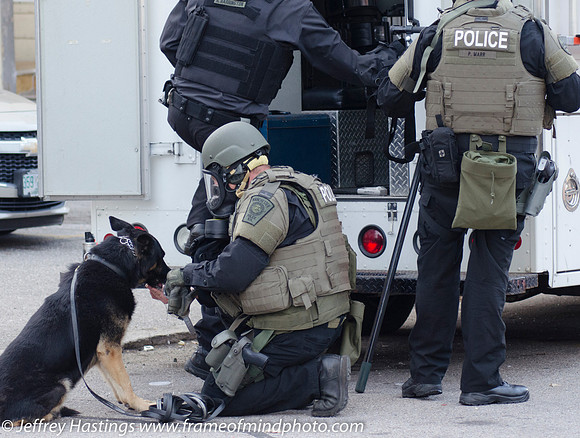 MPD SWAT Orange St K9-9819