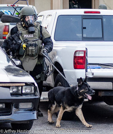MPD SWAT Orange St K9-9763