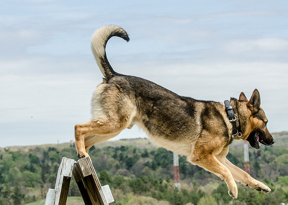 Sm web MPD K9-5638_