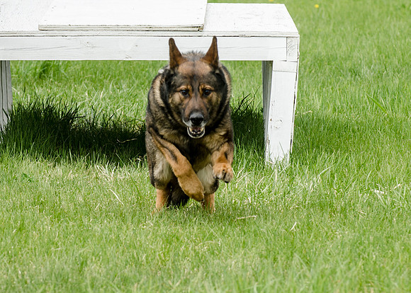 Sm web MPD K9-5471_