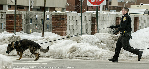 MPD,Bank Robbery,K9